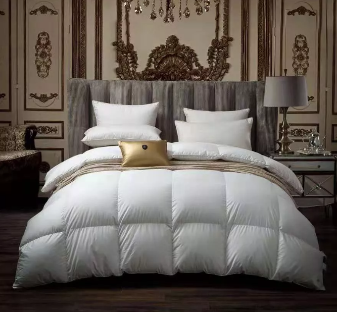 微信截图_20201216165246